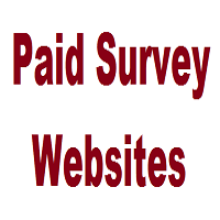 10 Paid International Survey Websites